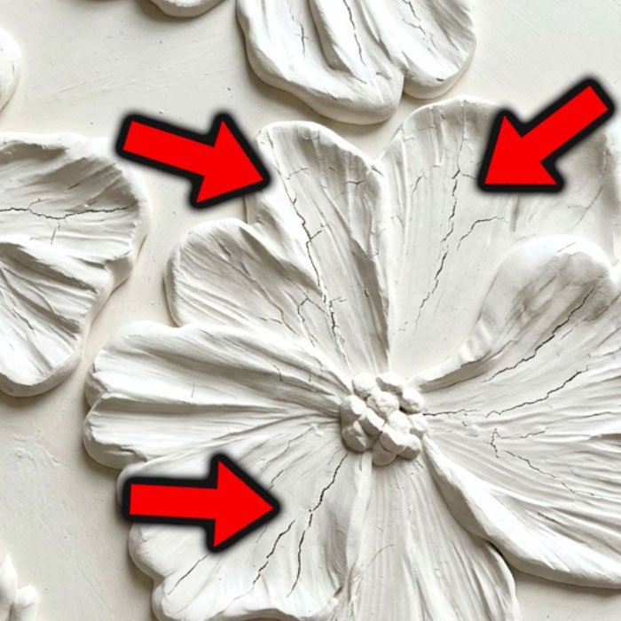texture flower cracks